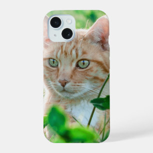 Cat in Nature iPhone 15 Case
