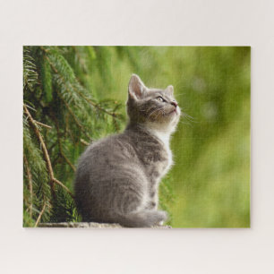 Cat in Nature Puzzle