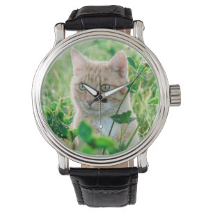 Cat in Nature Watch