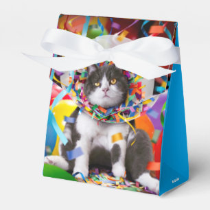 Cat In Party Cone Favour Box