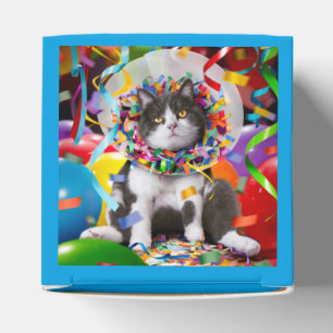 Cat In Party Cone Favour Box