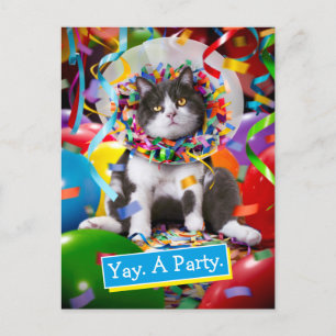 Cat In Party Cone Invitation Postcard