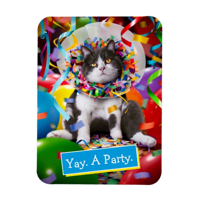 Cat In Party Cone Magnet (Vertical)