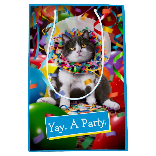 Cat In Party Cone Medium Gift Bag (Front)