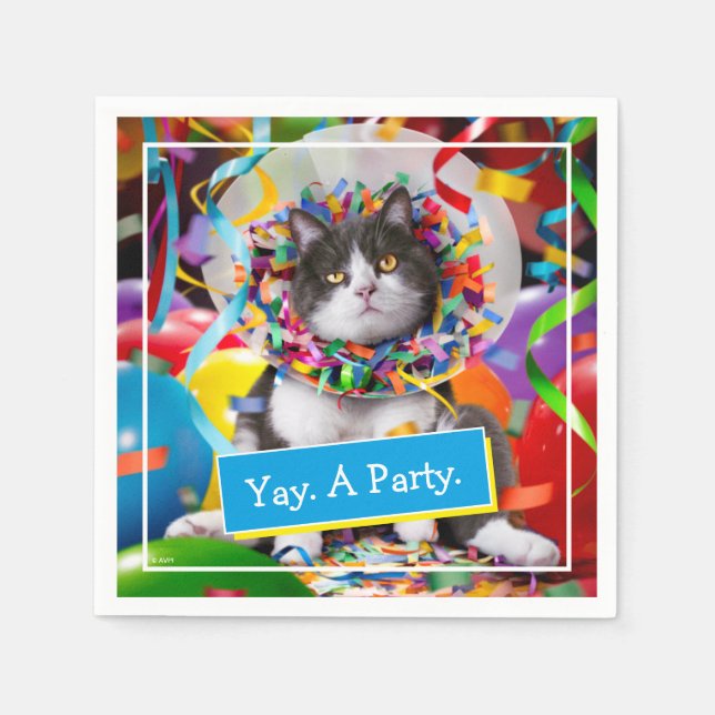Cat In Party Cone Napkin (Front)