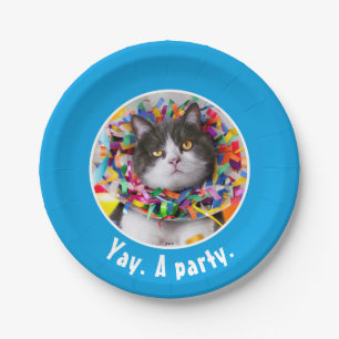 Cat In Party Cone Paper Plate