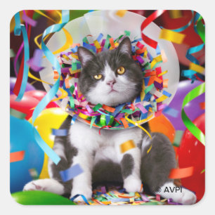 Cat In Party Cone Square Sticker