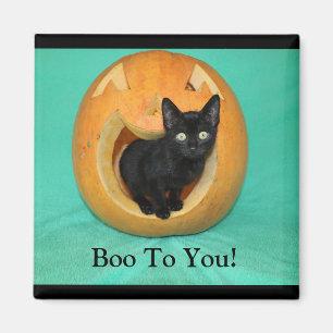 Cat In Pumpkin 2 Inch Square Magnet