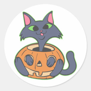 Cat in Pumpkin cartoon - Choose background colour Classic Round Sticker