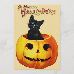 Cat in Pumpkin Halloween Party Invitation