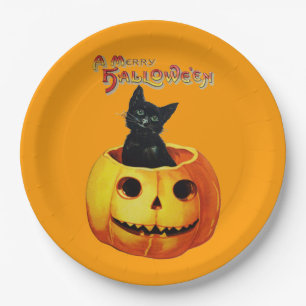 Cat in Pumpkin Halloween Plates