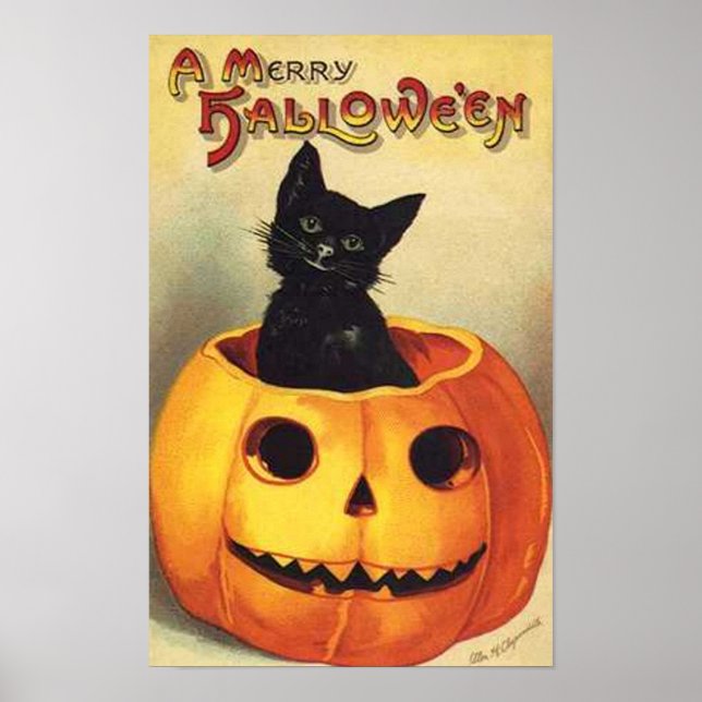 Cat In Pumpkin Poster (Front)