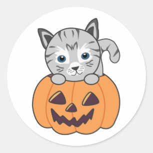 Cat In Pumpkin Sweet Cats Happy Halloween Classic Round Sticker