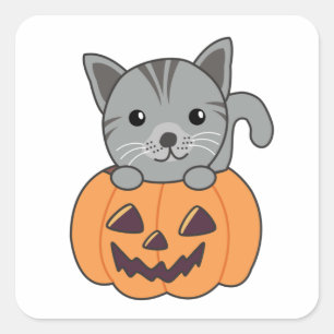 Cat In Pumpkin Sweet Cats Happy Halloween Square S Square Sticker