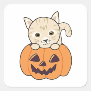 Cat In Pumpkin Sweet Cats Happy Halloween Square S Sticker
