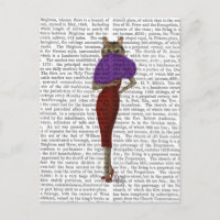 Cat In Red Dress