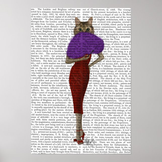 Cat In Red Dress Poster (Front)