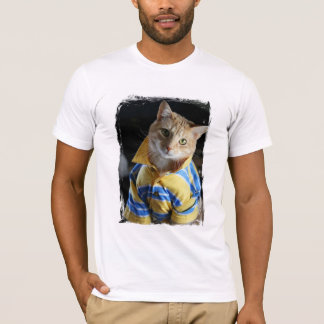 Cat in shirt