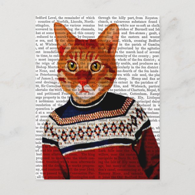 Cat in Ski Sweater 2 Postcard (Front)