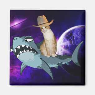 CAT IN SPACE RIDNG A SHARK MAGNET