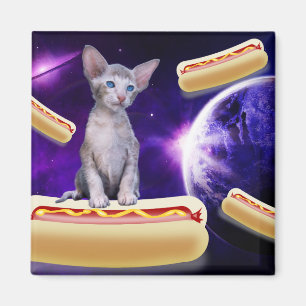 CAT IN SPACE WITH HOT DOGS MAGNET
