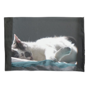Cat in Sunspot Do Not Disturb Pillowcase