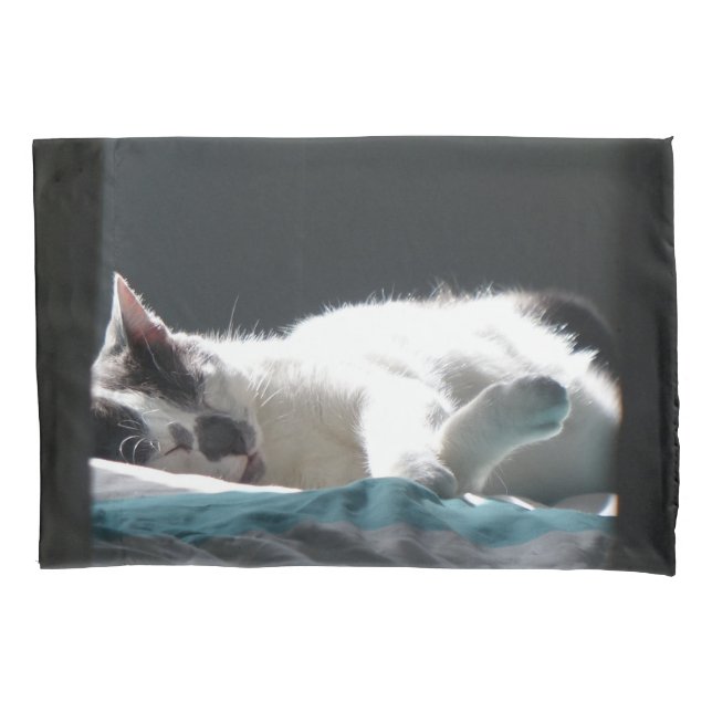 Cat in Sunspot Do Not Disturb Pillowcase (Front)