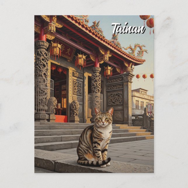 Cat in Taiwan Tainan Temple Travel Postcard (Front)