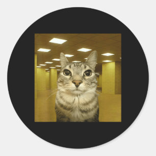 Cat In The Backrooms Liminal Space Funny Cat Meme Classic Round Sticker