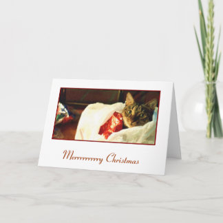 Cat in the Bag Christmas Card