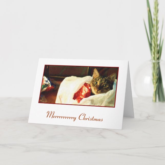 Cat in the Bag Christmas Card (Front)