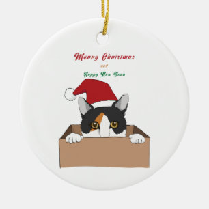 Cat in the box Christmas Metal Ornament