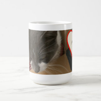 Cat in the Box Coffee Mug