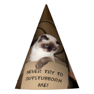 Cat in The Box Party Hat