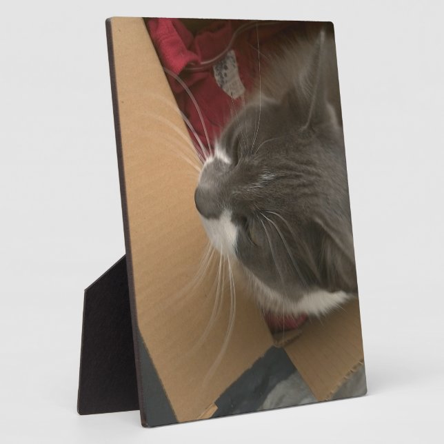 Cat in the Box Plaque (Side)