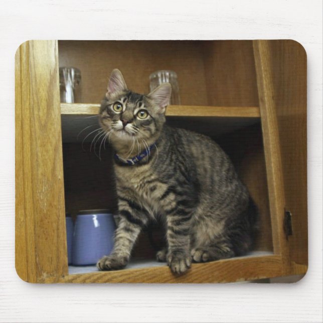 Cat in the Cupboard Mousepad (Front)