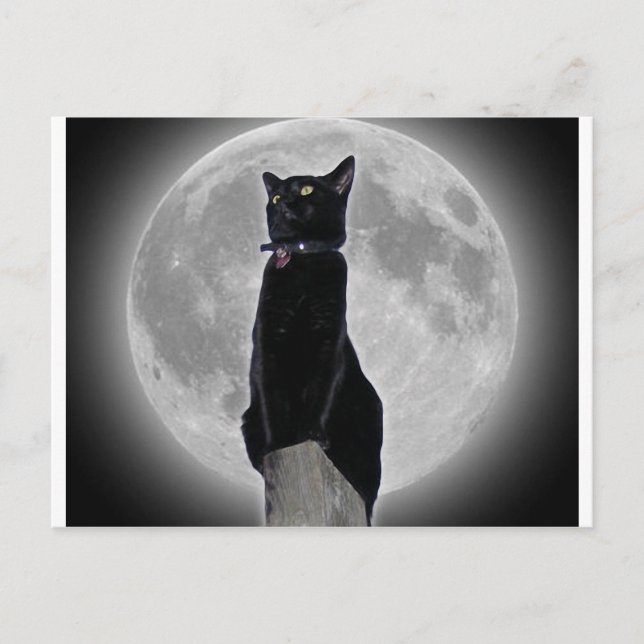 Cat in the Moon Postcard (Front)
