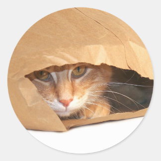Cat in the sack sticker