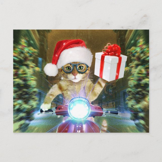 Cat in the Santa Claus hat delivers Christmas gift Postcard (Front)
