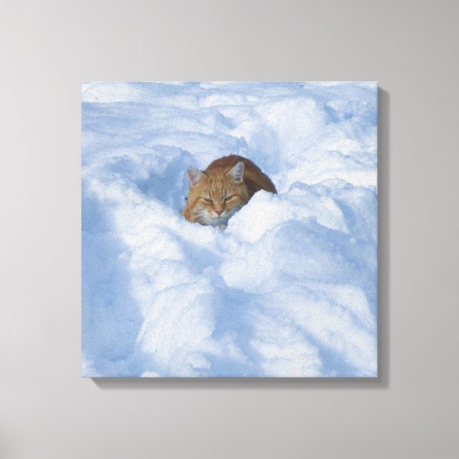 Cat in the snow canvas print (Front)