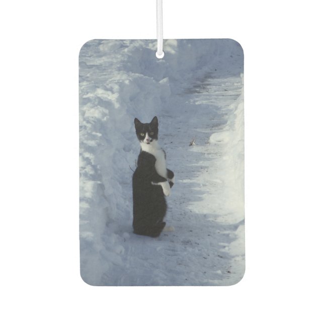 cat in the snow car air freshener (Front)