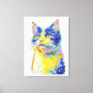 Cat in the Sunlight Canvas Print