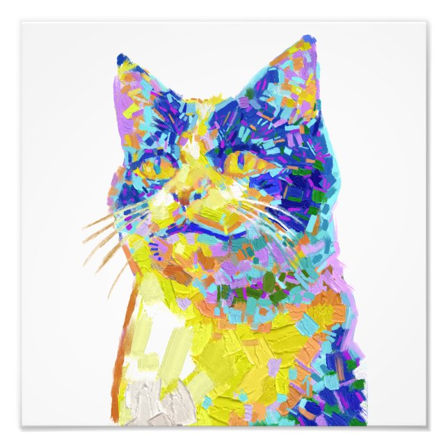 Cat in the Sunlight Photo Print (Front)