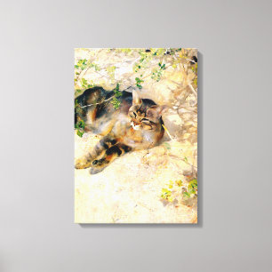 Cat in the Sunshine, Bruno Liljefors Canvas Print