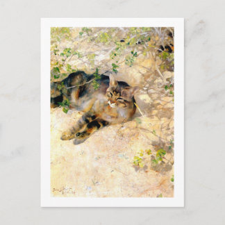 Cat in the Sunshine, Bruno Liljefors Postcard