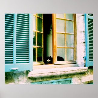 Cat in the Window/JSKFR003 Poster