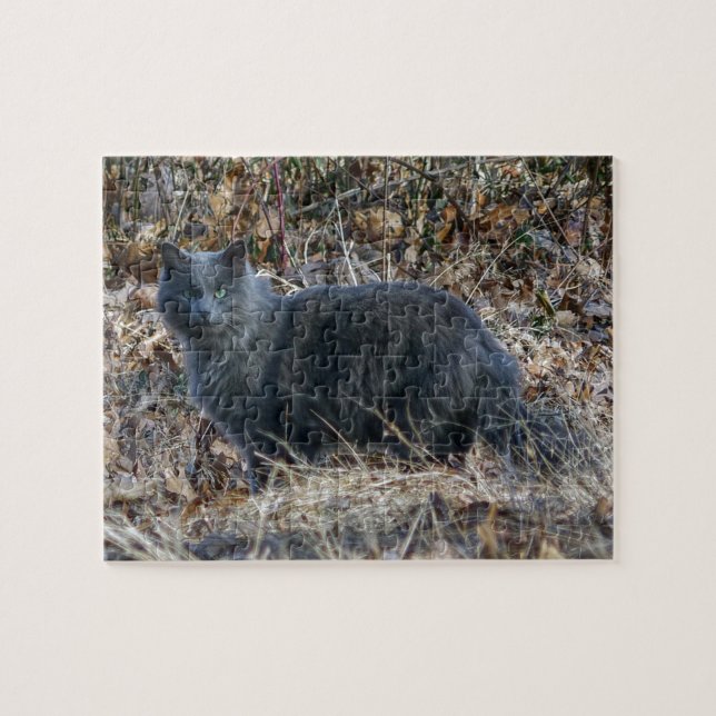Cat in the Woods Jigsaw Puzzle (Horizontal)