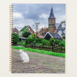 Cat in traditional fishing village planner