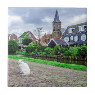 Cat in traditional fishing village tile
