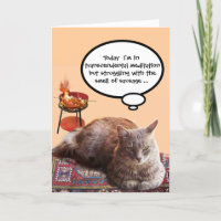 CAT IN TRANSCENDENTAL MEDITATION
